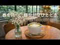 【癒しBGM】春を待つ、穏やかなひととき。やさしい朝の光の中で、静かに心整う特別な時間☕️｜Relaxing Piano & Guitar 120min｜リラックス・読書・勉強・作業用音楽