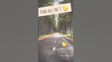 Try to find all the ducks ep35