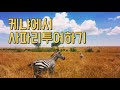 🇰🇪 케냐에서 사파리투어! 야생동물 총집합!! #아프리카 #세계여행 #사파리