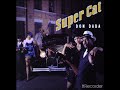 SUPERCAT DONT TEST 1989 mp3