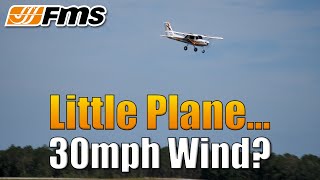 Does a gyro really help? Flying a tiny plane in strong wind with a gyro • FMS 850mm Ranger