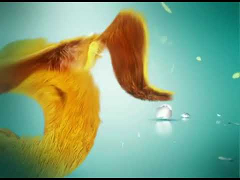 فواصل قناة Mbc 4 2005