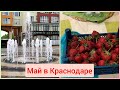 Прохладный май🌺 Майская клубника 🌺Меня узнали 🌺Переезд в Краснодар