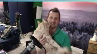 Debunking is important, but cats are importanter