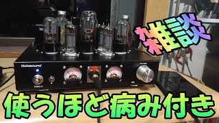 Nobsound 6P1 真空管アンプ　この音を知らぬまま人生を終われない