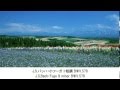 涙が出るほど？美しいクラシック名曲集・Beautiful Classical Music Collection（長時間作業用BGM)