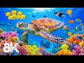 Calming Aquarium 8K ULTRA HD — Amazing Sea Animals and Underwater Relaxation