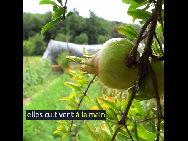 Preview image de vidéo sur Monastère de Solan 🇫🇷