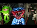 360° VR Poppy Playtime New Characters! Mods and Glitches | Kermit Cartoon Cat Kissy Missy