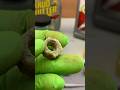 An Ultrasonic Cleaner Vs Crusty Nuts