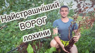 Головний ВОРОГ ЛОХИНИ!!! То хто ж він ?  14.08.22