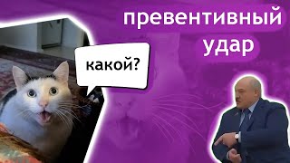 Лукашенко и кот Бендер: превентивный удар