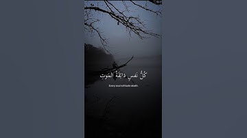اكتب شيء تؤجر عليه 🤍⛓️القارئ عبدالرحمن مسعد 🤍 #quran #كرومات_قرآن #شاشه_سوداء #ارح_قلبك 🥺