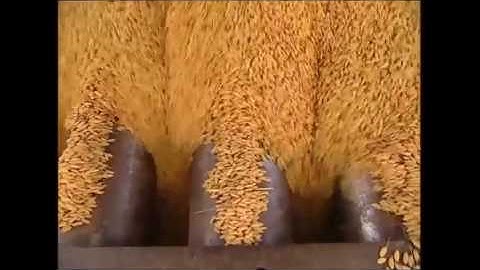 How It’s Made Rice