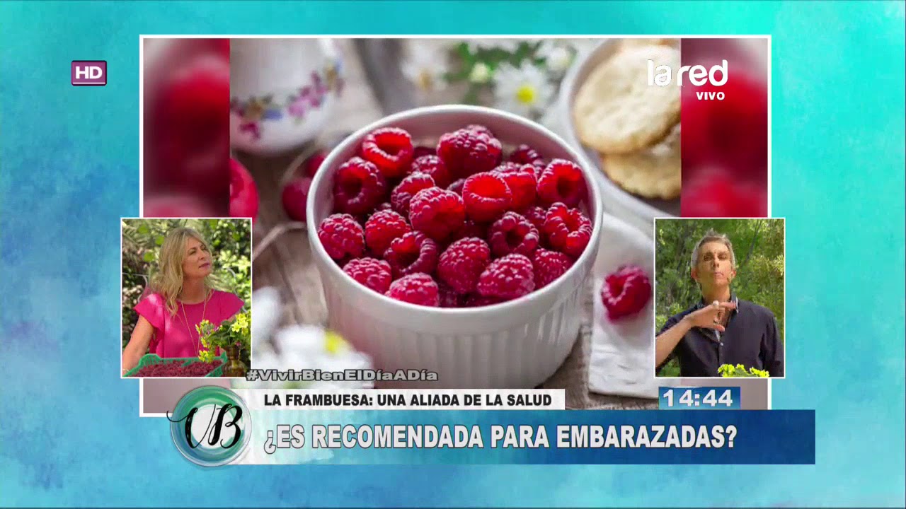 Te De Frambuesa En El Embarazo ¿Es recomendada la frambuesa para las mujeres embarazadas? - YouTube