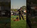 K9 training with “Musk”