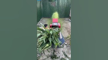 6.8 ton Grass cutter. #grasscutter #haycutter #chaffcutter #grassmill #grass #forage #haymill #cow