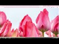 HTML Images and Background