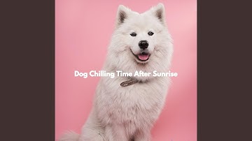 Spirited Moods for Limitless Overtones