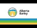 Alberta Barley Cheers Canadian Beer Day 2020
