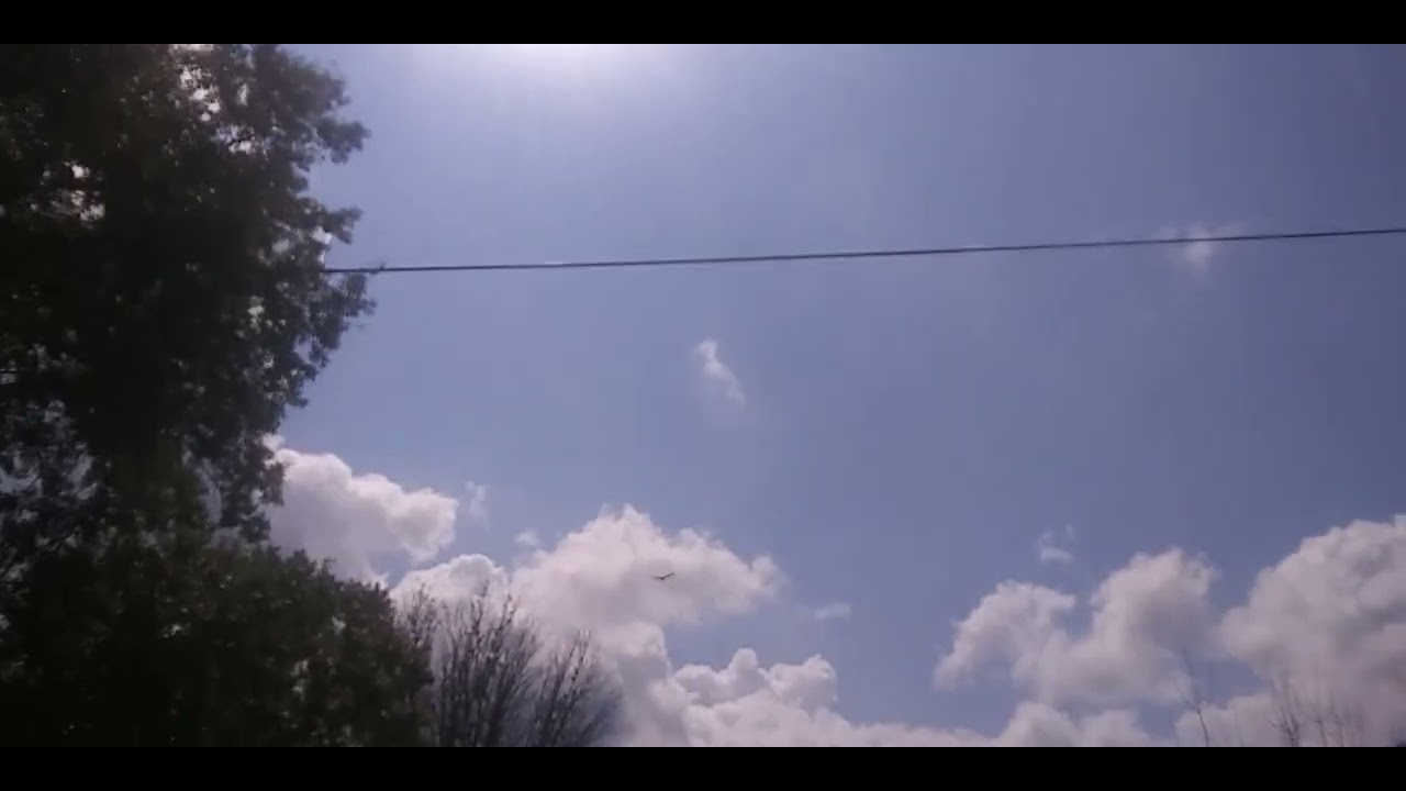 Learn @yourfriendRobert ~MyMorning Meditation HAWK VISIT LOVE&LIGHT Confederation planets &ANGELS messages