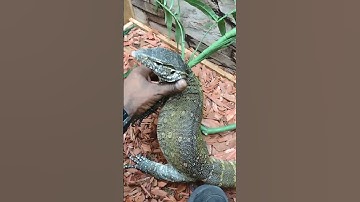 NILE monitor handling tips and tricks.