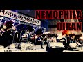 【LIVE】NEMOPHILA / OIRAN (NAONのYAON2021)