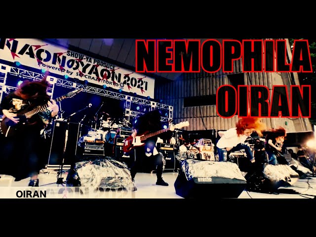 NEMOPHILA / OIRAN [Official Live Video] class=