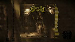 [SOLD] Slam Instrumental Track - NEURAL EXTRACTION / Slamming Brutal Death Metal
