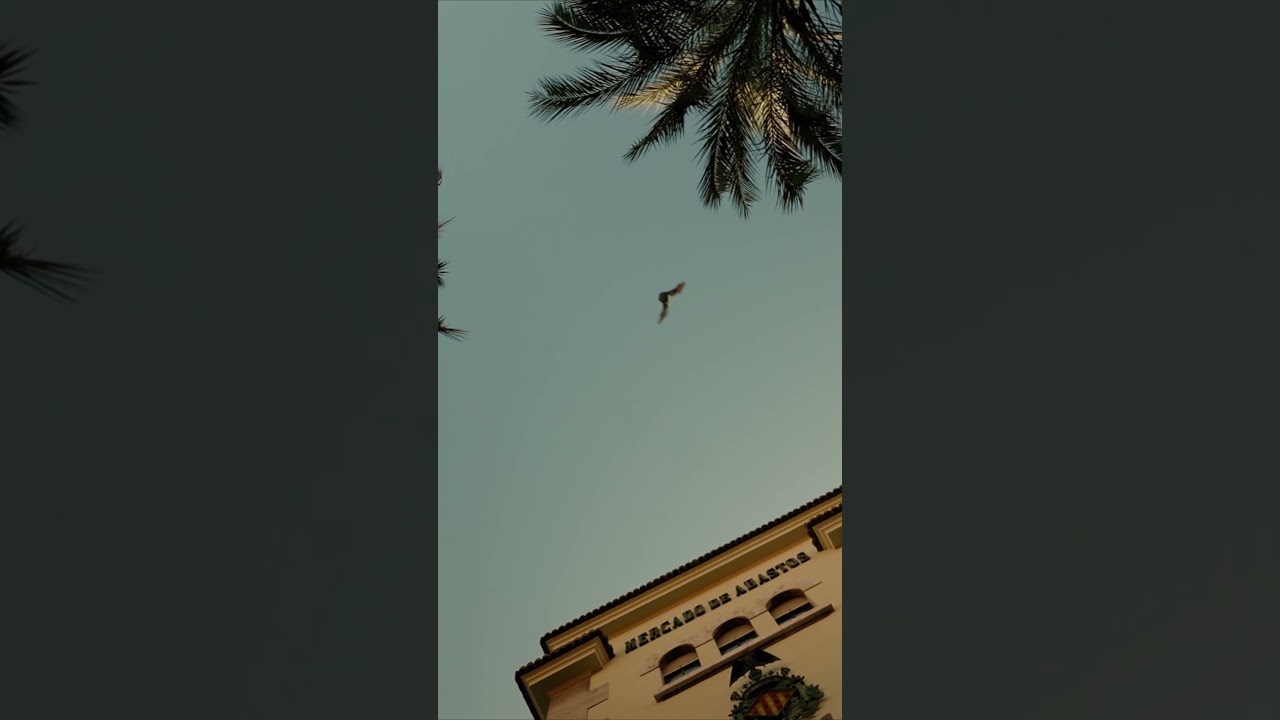 🆕🦇| VALENCIA CF