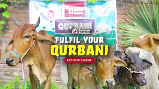 Qurbani 2026