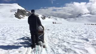 Alaska - Dogsledding