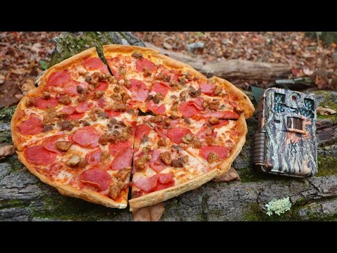 What Happens to a PIZZA Left in the Woods? (Trail Camera)