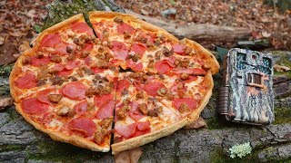 What Happens to a PIZZA Left in the Woods? (Trail Camera)