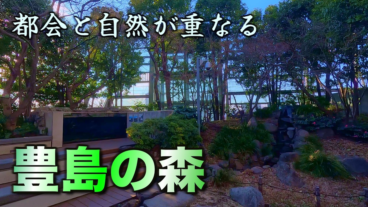 実はここ、建物の上にある森です｜池袋・豊島の森散歩