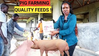 How To Mix BEST PIG Feeds For Faster Growth! (DETAILED)