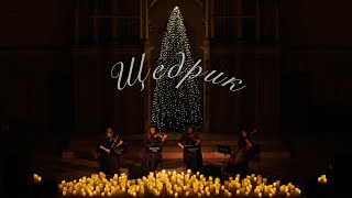 Щедрик - Black Tie струнний квартет (carol of the bells - string quartet version)