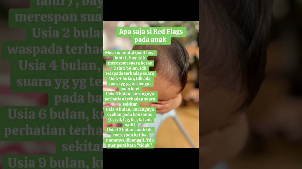 Developmental Red Flags Language Children (Red Flags Perkembangan Bahasa Anak)