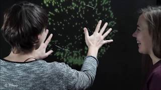 Feeling Fireworks screenshot 2