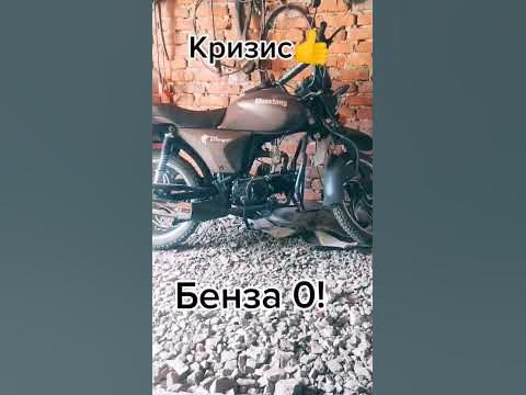 мустанг дінго - YouTube