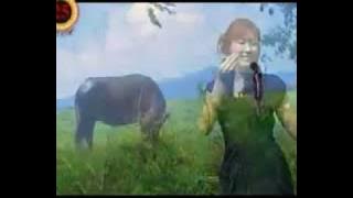 Huang Jia Mei 黄家美~姑娘我爱你 Gu Niang Wo Ai Ni   ~   Ka