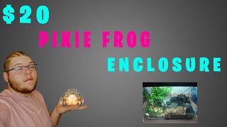 $20 PIXIE FROG SETUP/ENCLOSURE + UPGRADE FOR MY PIXIE FROG