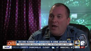 Record number of opioid overdose deaths in anne arundel county