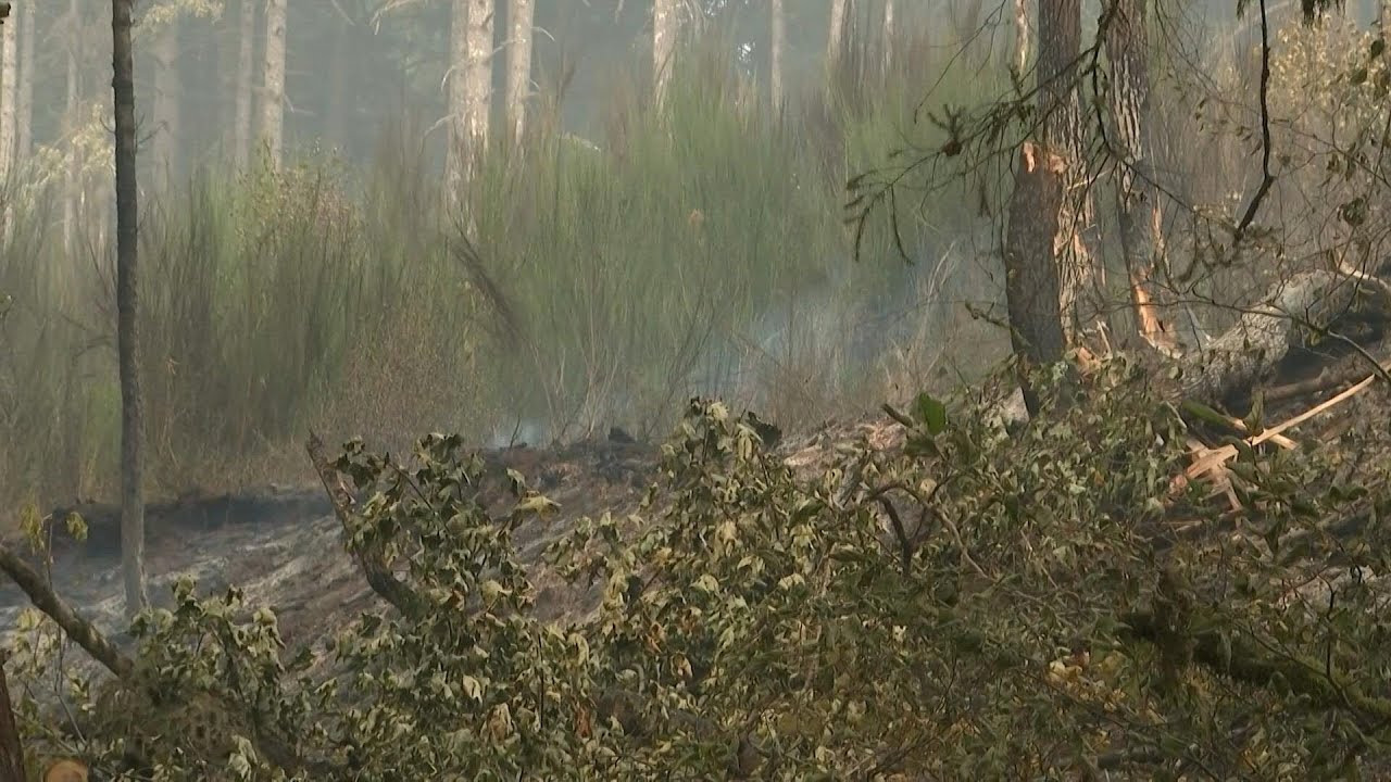 In Oregon, some farmers blame wildfires on poor 'forest management' | AFP