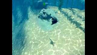 Sims qui se fait attaquer par un requin screenshot 4