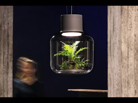 This self-sustaining plant ecosystem helps you light up your home