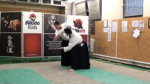 ushiro ryohijidori ikkyo [TUTORIAL] Aikido empty hand advanced techniques