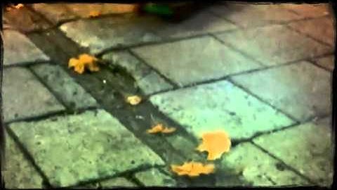 vituttaa saatana perkele  (Created with Magisto)