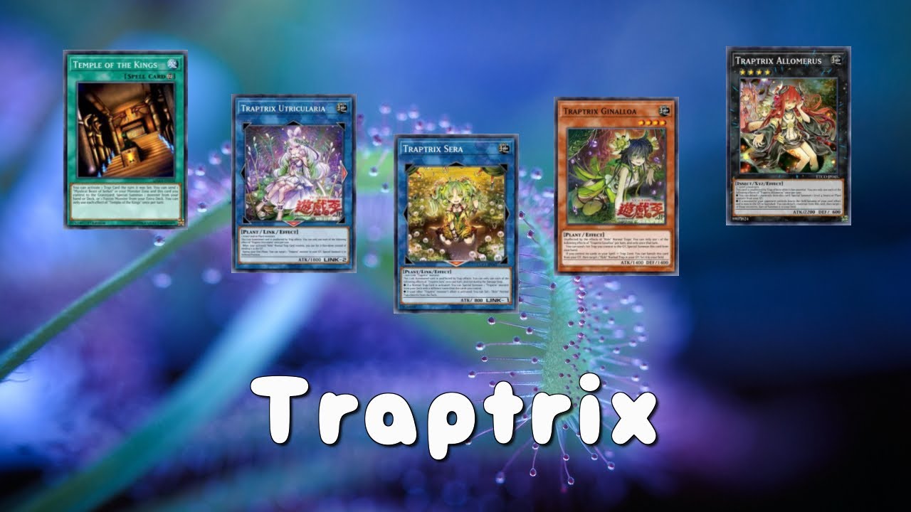 遊戯王 蟲 惑 魔 ホール 落とし穴 蟲惑魔 こわくま デッキレシピ一覧