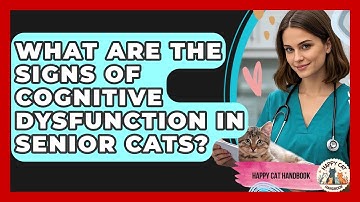 What Are The Signs Of Cognitive Dysfunction In Senior Cats? - Happy Cat Handbook